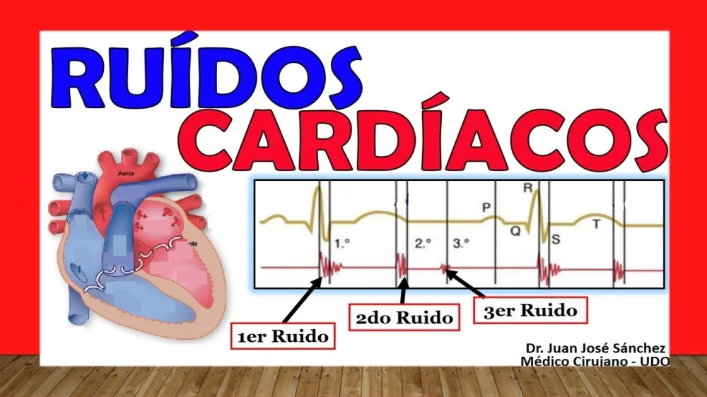 El R1 Y El R2 Significado y funciones de r1 r2 r3 y r4 en el campo de la medicina ...