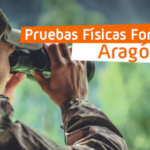 Consejos de Estudio para Aspirantes a Agente Forestal Aragón