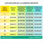 Cuánto cobra un profesor de educación física guía de precios actualizada