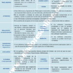 Grupo de celadores quiénes son y cuál es su función