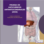 La estructura del examen AMA: lo que debes saber